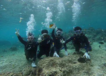 武藤潜水に投稿された画像（2026/2/24）