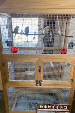 滋賀農業公園ブルーメの丘に投稿された画像（2026/2/24）