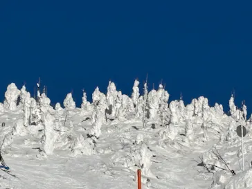 蔵王ロープウェイに投稿された画像（2026/2/24）