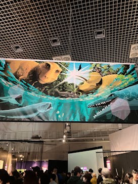 特別展「大絶滅展―生命史のビッグファイブ」に投稿された画像（2026/2/24）