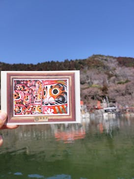 勝尾寺に投稿された画像（2026/2/24）