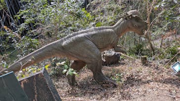 みろくの里に投稿された画像（2026/2/24）