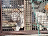 宇都宮動物園に投稿された画像（2026/2/24）