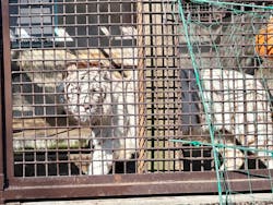 宇都宮動物園に投稿された画像（2026/2/24）
