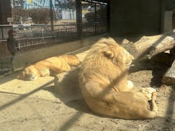 宇都宮動物園に投稿された画像（2026/2/24）