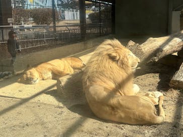 宇都宮動物園に投稿された画像（2026/2/24）