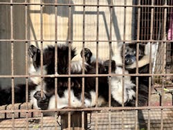 宇都宮動物園に投稿された画像（2026/2/24）