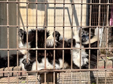 宇都宮動物園に投稿された画像（2026/2/24）