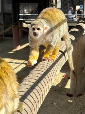 宇都宮動物園に投稿された画像（2026/2/24）