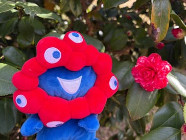 万博記念公園に投稿された画像（2026/2/24）