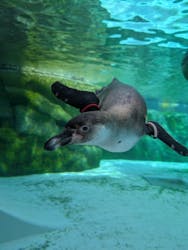 天王寺動物園に投稿された画像（2026/2/24）