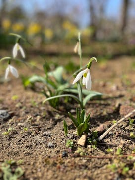 横浜イングリッシュガーデンに投稿された画像（2026/2/24）