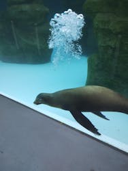 天王寺動物園に投稿された画像（2026/2/24）