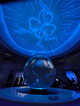 新江ノ島水族館に投稿された画像（2026/2/24）