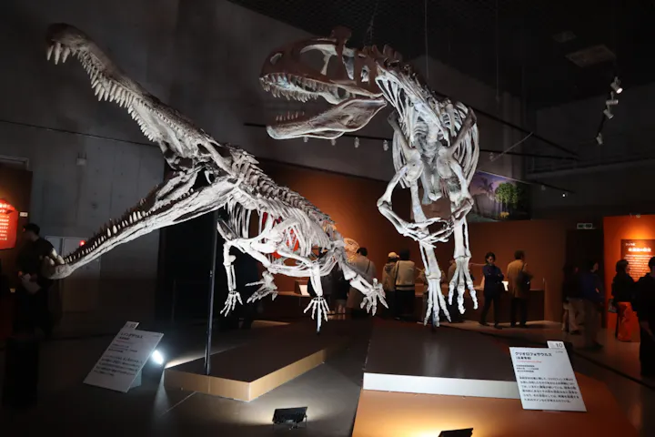 特別展「大絶滅展―生命史のビッグファイブ」の口コミ ｜地球上の生物は 