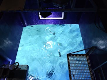 サンシャイン水族館に投稿された画像（2026/2/24）