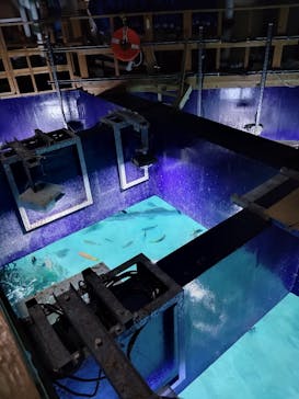 サンシャイン水族館に投稿された画像（2026/2/24）