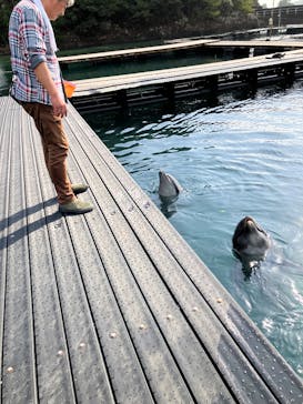 太地町立くじらの博物館に投稿された画像（2026/2/24）