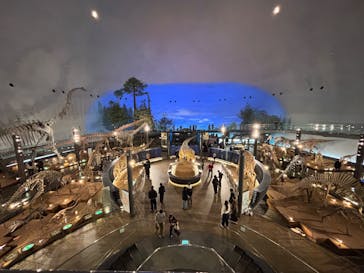福井県立恐竜博物館に投稿された画像（2026/2/24）