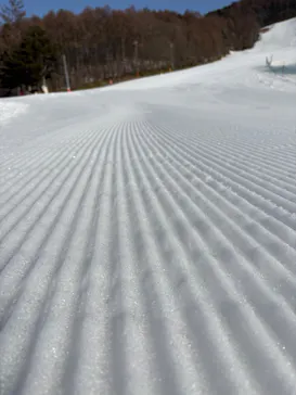 菅平高原スノーリゾートに投稿された画像（2026/2/24）