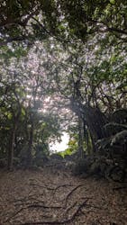 アスムイハイクスに投稿された画像（2026/2/24）