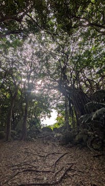 アスムイハイクスに投稿された画像（2026/2/24）