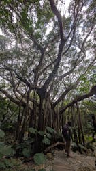 アスムイハイクスに投稿された画像（2026/2/24）