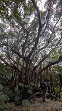 アスムイハイクスに投稿された画像（2026/2/24）