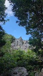 アスムイハイクスに投稿された画像（2026/2/24）