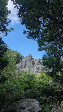 アスムイハイクスに投稿された画像（2026/2/24）