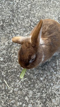 伊豆アニマルキングダムに投稿された画像（2026/2/24）