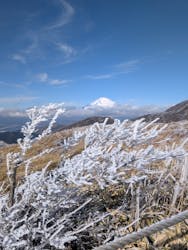箱根駒ケ岳ロープウェーに投稿された画像（2026/2/24）