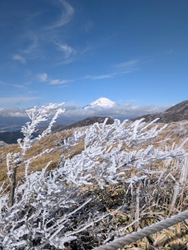 箱根駒ケ岳ロープウェーに投稿された画像（2026/2/24）