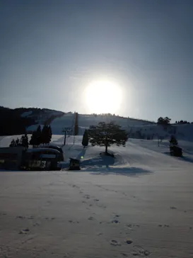 ジュネス栗駒スキー場に投稿された画像（2026/2/24）