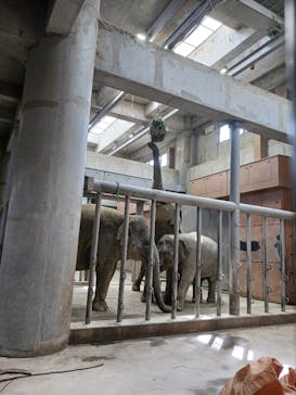 名古屋市東山動植物園に投稿された画像（2026/2/24）