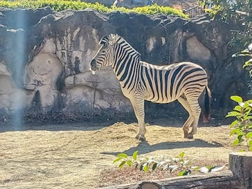 名古屋市東山動植物園に投稿された画像（2026/2/24）