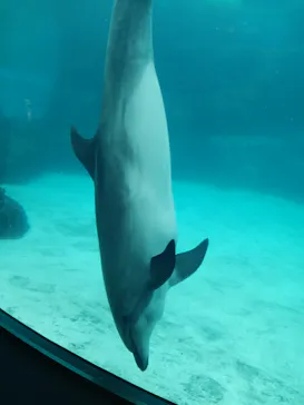 名古屋港水族館に投稿された画像（2026/2/24）