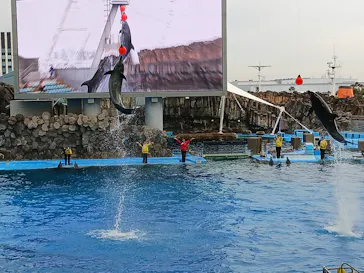 名古屋港水族館に投稿された画像（2026/2/24）