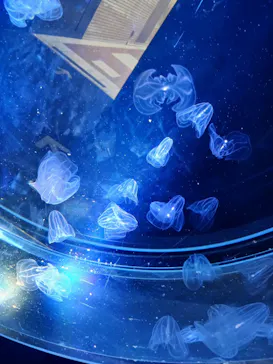 名古屋港水族館に投稿された画像（2026/2/24）