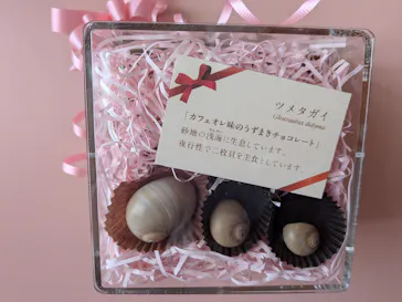 新江ノ島水族館に投稿された画像（2026/2/24）