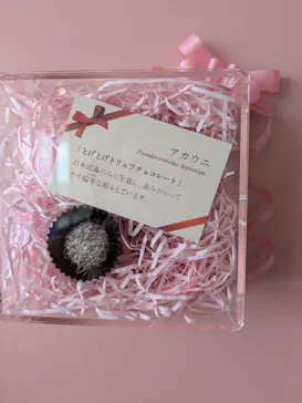 新江ノ島水族館に投稿された画像（2026/2/24）