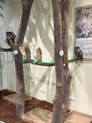 Moff animal cafe イオンモール新利府店に投稿された画像（2026/2/24）