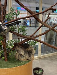 Moff animal cafe イオンモール新利府店に投稿された画像（2026/2/24）