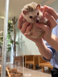 Moff animal cafe イオンモール新利府店に投稿された画像（2026/2/24）