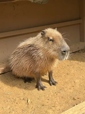 横浜・八景島シーパラダイスに投稿された画像（2026/2/24）