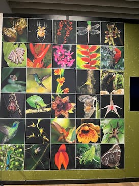 CREVIA マチュピチュ展／CREVIA MACHU PICCHU AND THE GOLDEN EMPIRES OF PERUに投稿された画像（2026/2/24）