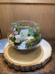 Terrariums 渋谷ヒカリエ店に投稿された画像（2026/2/24）