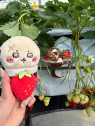 MIGAKI FARMに投稿された画像（2026/2/24）