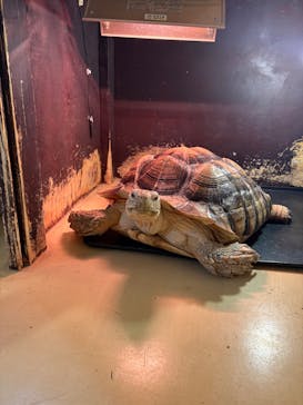 Moff animal cafe イオンモール幕張新都心店に投稿された画像（2026/2/24）