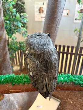 Moff animal cafe イオンモール幕張新都心店に投稿された画像（2026/2/24）